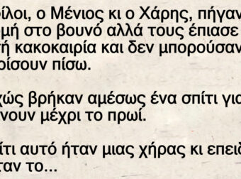 Δυο φίλοι χάθηκαν στο βουνό αλλά τους περιποιήθηκε μια χήρα