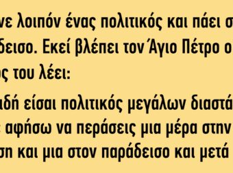 Πεθαίνει Λοιπόν ένας Πολιτικός και Πάει στον Παράδεισο.