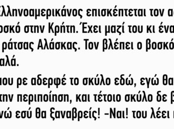 Ένας Ελληνοαμερικάνος επισκέπτεται τον αδερφό του βοσκό στην Κρήτη‌‌