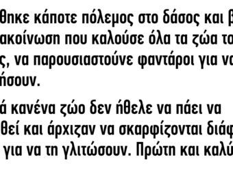 Κηρύχθηκε κάποτε πόλεμος στο δάσος και βγήκε μια ανακοίνωση