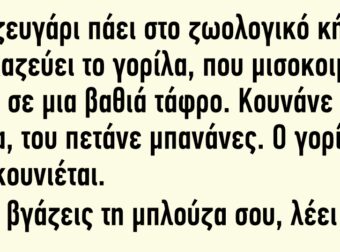 Ένα ζευγάρι πάει στο ζωολογικό κήπο και χαζεύει το γορίλα