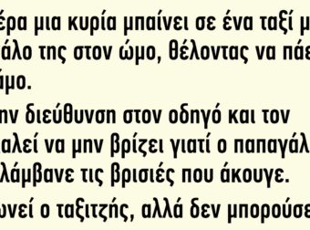 Μια μέρα μια κυρία μπαίνει σε ένα ταξί με τον παπαγάλο της στον ώμο