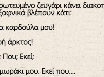 Ανέκδοτο: Ένα Ερωτευμένο ζευγάρι κάνει διακοπές όταν ξαφνικά βλέπουν κάτι