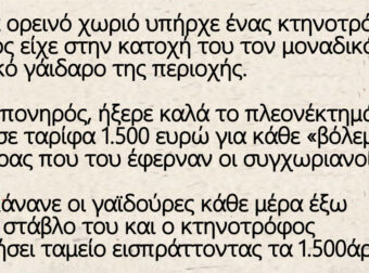 Ανέκδοτο: Ο γάιδαρος, ο κτηνοτρόφος και ο δήμαρχος – Ουρά κάνανε οι γαϊδούρες κάθε μέρα